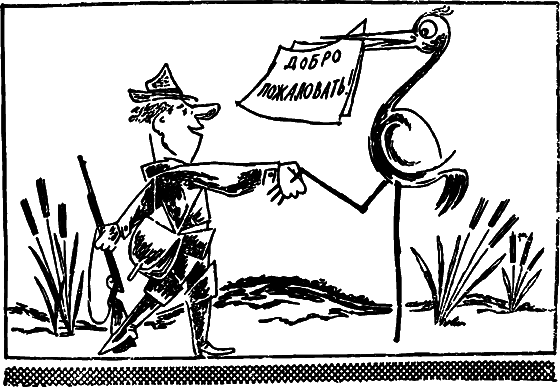 Профиль равновесия i_021.png