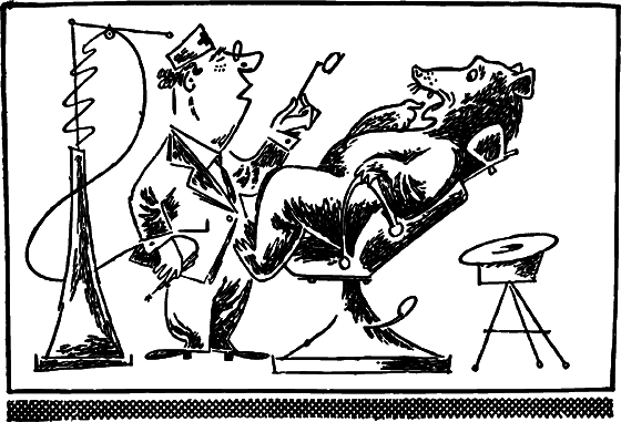 Профиль равновесия i_026.png