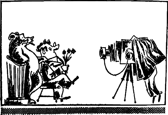 Профиль равновесия i_033.png