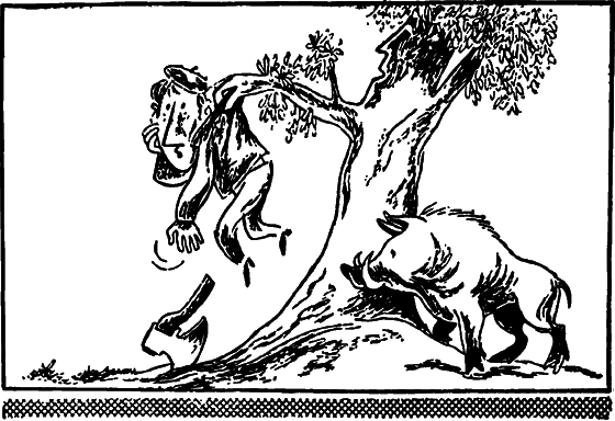 Профиль равновесия i_005.png