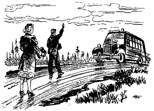 Домик на болоте (илл. Н.Кочергина) pic_2.png