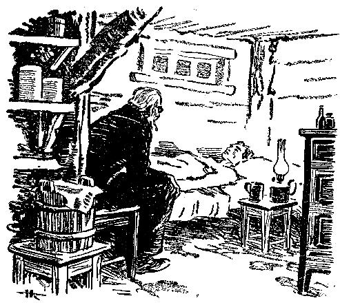 Домик на болоте (илл. Н.Кочергина) pic_7.png