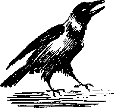 Девочка ищет отца (с илл.) pic_18.png
