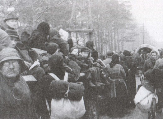 Правда о «Вильгельме Густлофе» i_032.jpg