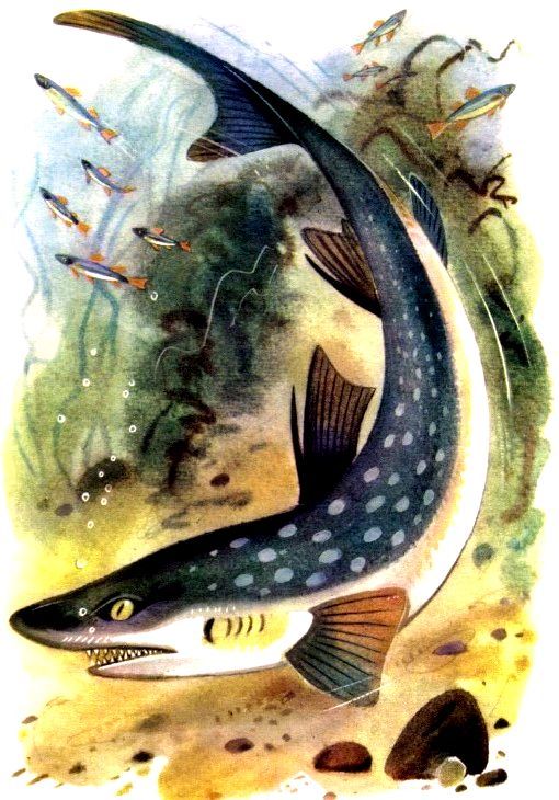 Крабишкин дом (с илл.) pic_12.jpg