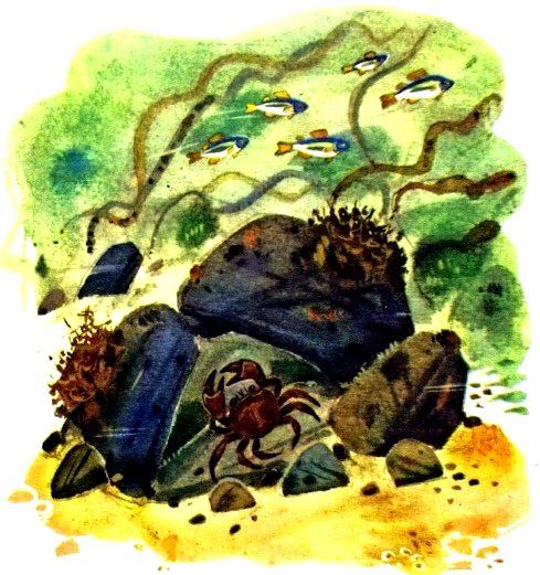 Крабишкин дом (с илл.) pic_14.jpg