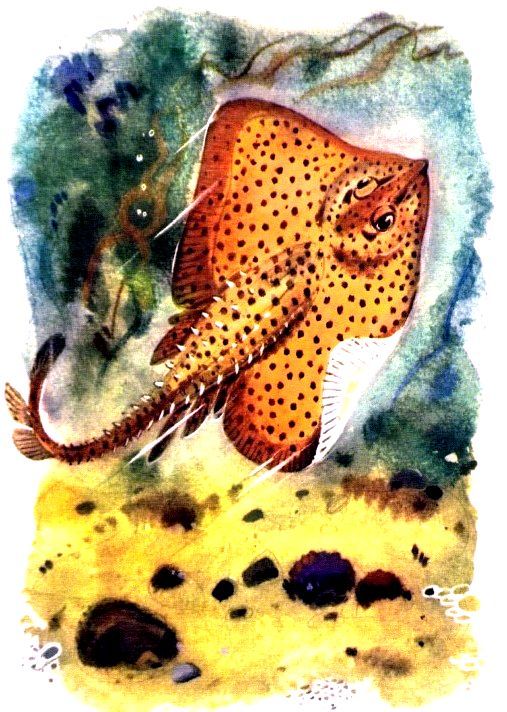 Крабишкин дом (с илл.) pic_16.jpg