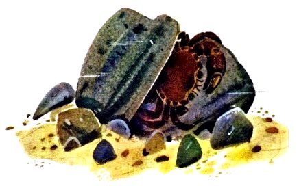 Крабишкин дом (с илл.) pic_17.jpg