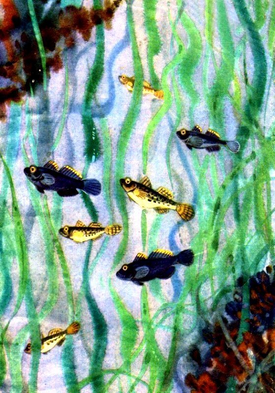 Крабишкин дом (с илл.) pic_18.jpg