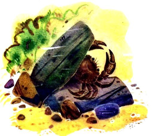 Крабишкин дом (с илл.) pic_5.jpg