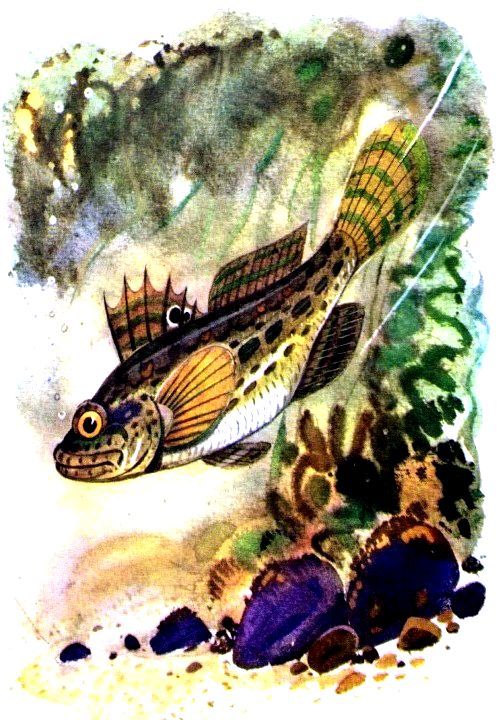 Крабишкин дом (с илл.) pic_6.jpg