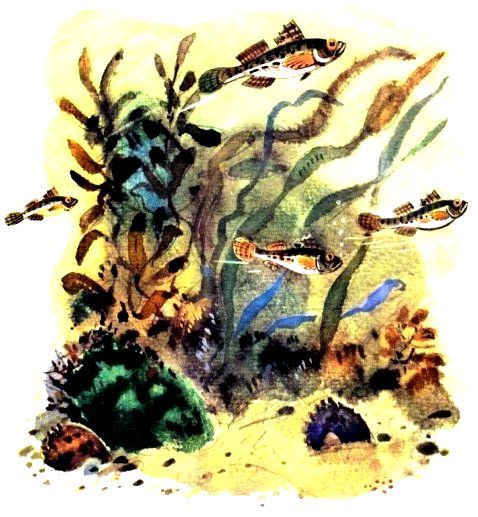 Крабишкин дом (с илл.) pic_7.jpg