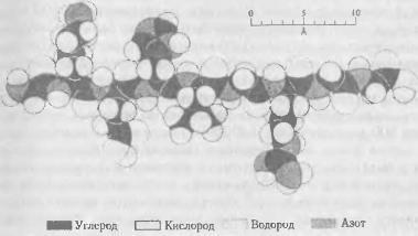 Жизнь как она есть: её зарождение и сущность img_7.jpeg