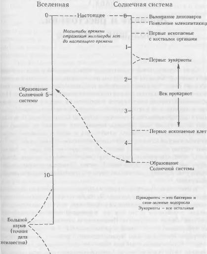 Жизнь как она есть: её зарождение и сущность img_2.jpeg