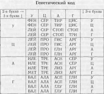 Жизнь как она есть: её зарождение и сущность img_8.jpeg