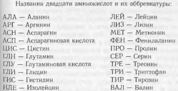 Жизнь как она есть: её зарождение и сущность img_9.jpeg