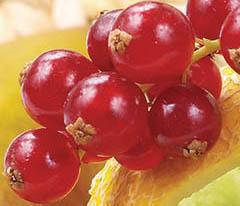 Кулинарная коллекция. Шаг за шагом desserts_43_4.jpg