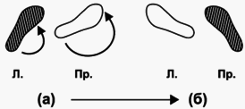 Путь без иллюзий: Том II. Теория и практика медитации i_104.png