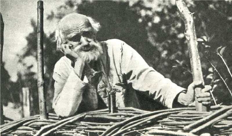 Жизнь, театр, кино image148.jpg