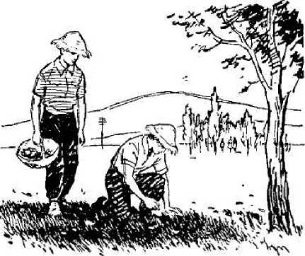 Их было четверо. Приключения в микромире. Том 3 i_032.png