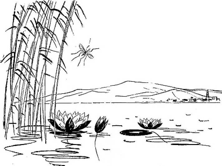 Их было четверо. Приключения в микромире. Том 3 i_034.png