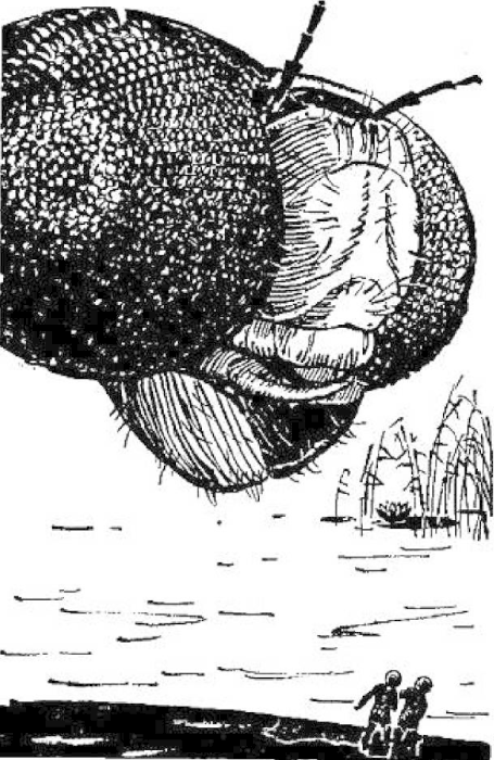 Их было четверо. Приключения в микромире. Том 3 i_035.png