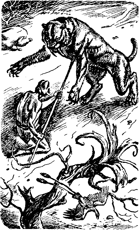 Обратно в каменный век Bezimeni11.png