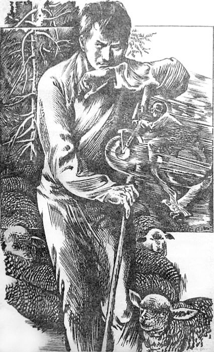 Крик с вершины i_002.jpg