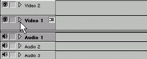 Самоучитель Adobe Premiere 6.5 _43.jpg