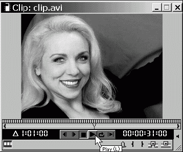 Самоучитель Adobe Premiere 6.5 _181.jpg
