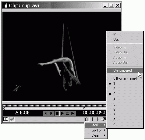 Самоучитель Adobe Premiere 6.5 _198.jpg
