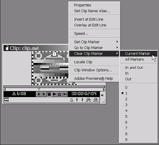 Самоучитель Adobe Premiere 6.5 _202.jpg