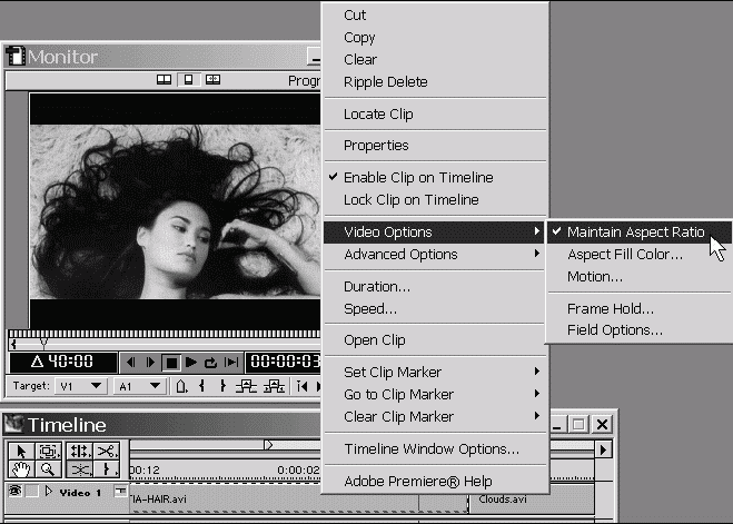 Самоучитель Adobe Premiere 6.5 _273.jpg