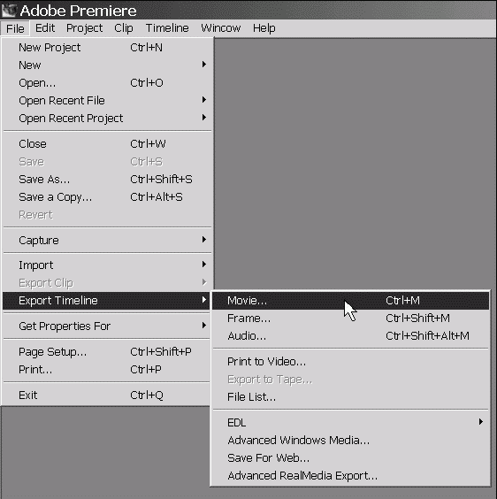 Самоучитель Adobe Premiere 6.5 _460.jpg