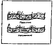 Как построить сельский дом i_115.png