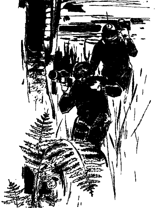 Последняя орбита (с илл.) pic_8.png
