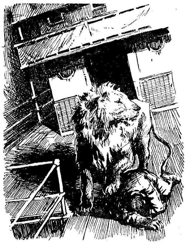 Шхуна «Колумб» (с илл. Л. Лурье) pic_11.jpg