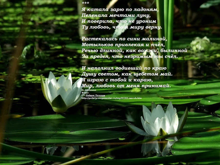 Тулуп из горностая _41.jpg
