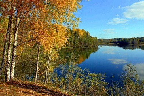 Тулуп из горностая _17.jpg