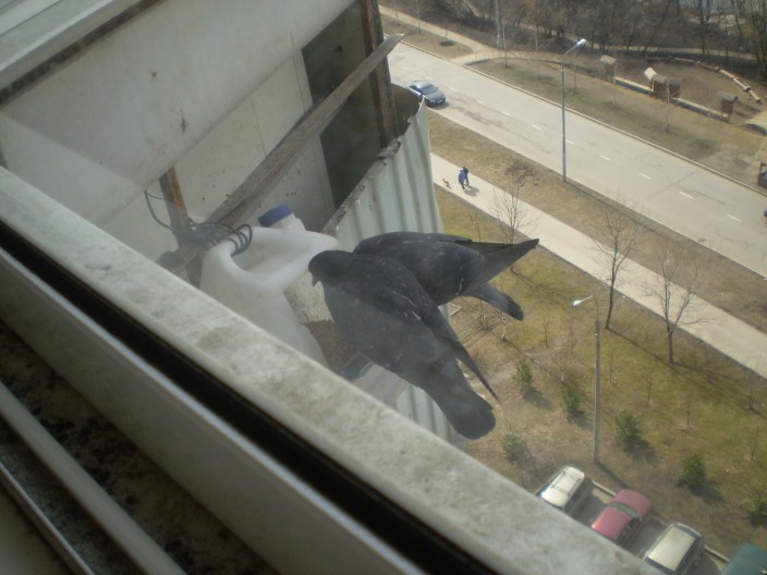 Тулуп из горностая _69.jpg