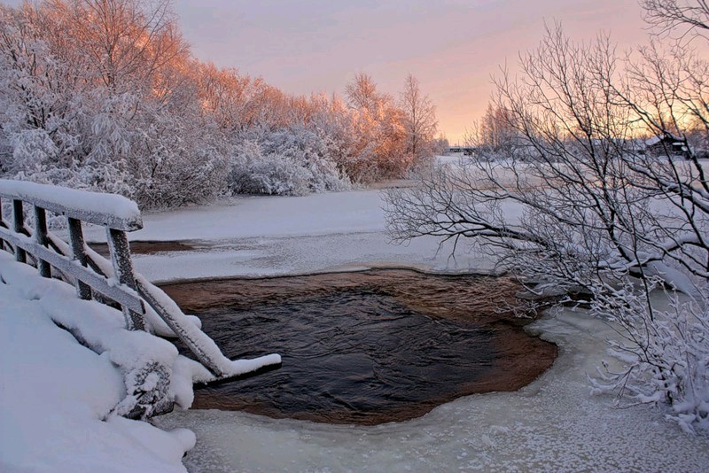 Тулуп из горностая _23.jpg