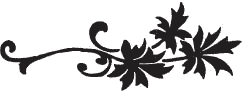 Я обманывать себя не стану… i_016.png