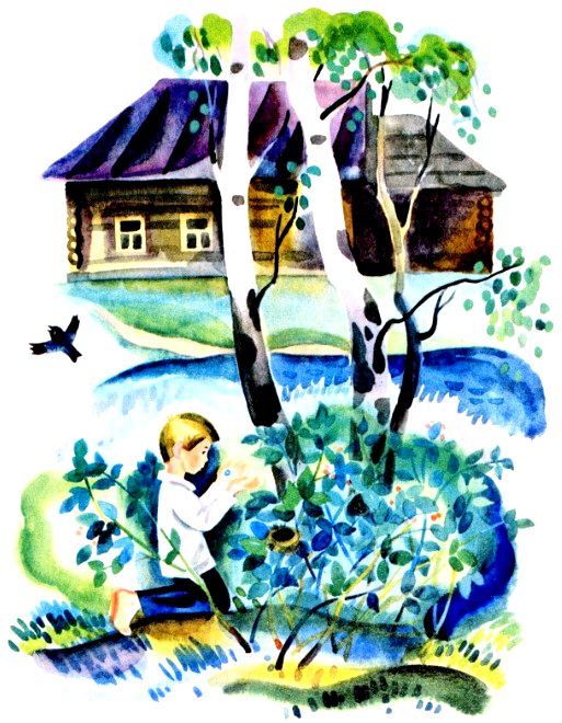 Когда ходили за грибами (сборник) (с илл.) pic_6.jpg