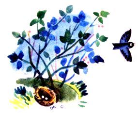 Когда ходили за грибами (сборник) (с илл.) pic_7.jpg