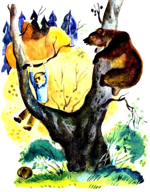 Когда ходили за грибами (сборник) (с илл.) pic_10.jpg