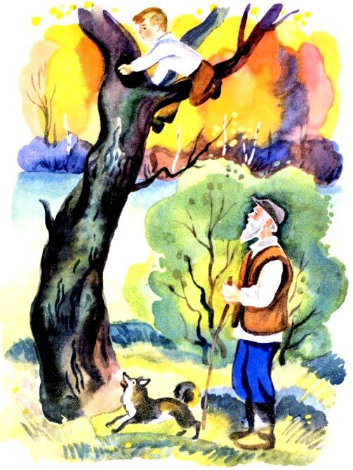 Когда ходили за грибами (сборник) (с илл.) pic_8.jpg