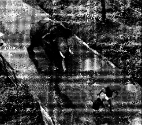 Откуда берутся и куда деваются деньги img790_16.png