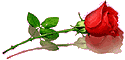 Воля судьбы rose.png
