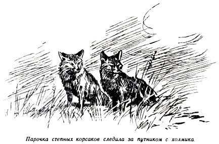 По следу pic_11.jpg