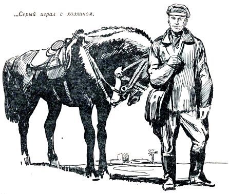 По следу pic_52.jpg